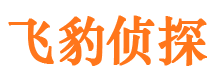 清水市侦探公司